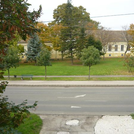 Bed and Breakfast Szent Istvan Panzio à Hódmezővásárhely Extérieur photo