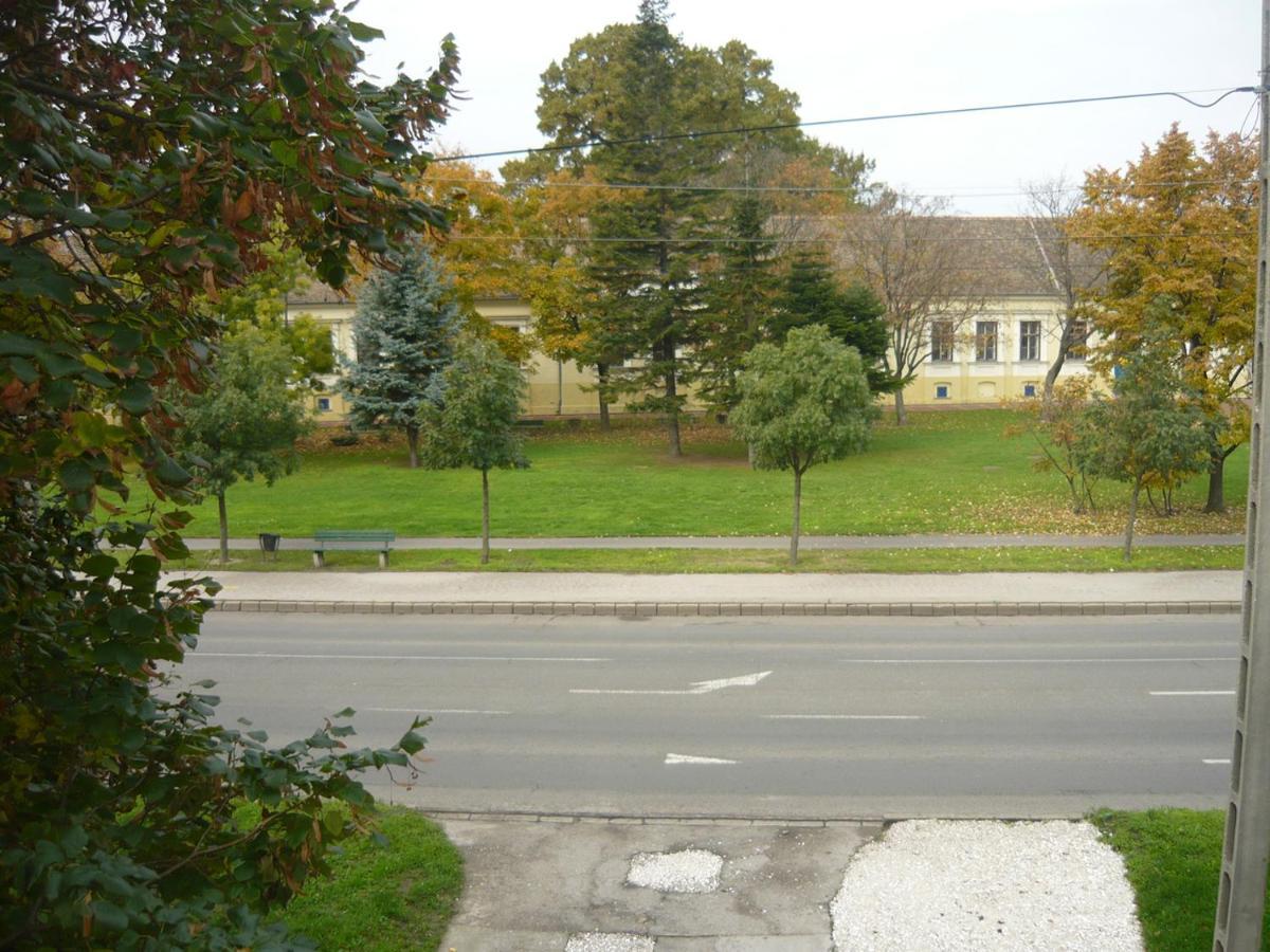 Bed and Breakfast Szent Istvan Panzio à Hódmezővásárhely Extérieur photo